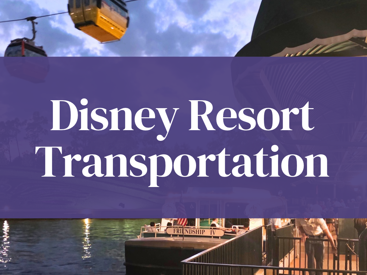 Disney Resort Transportation Guide: Buses, Monorail, and Skyliner Tips 1 Disney Resort Transportation Explained