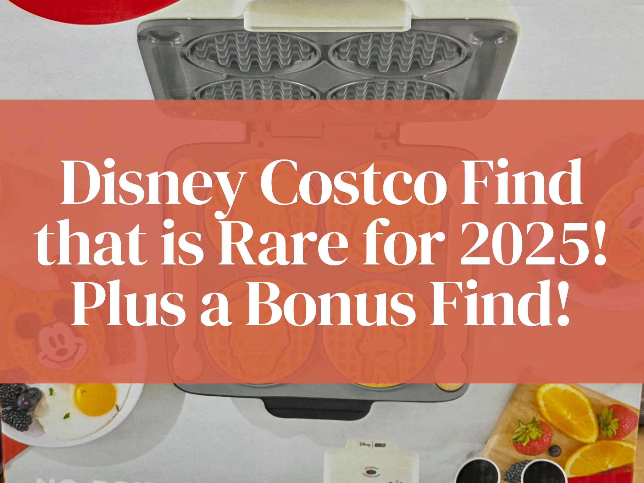 Dreamers, Costco Has Something Disney You’ll Want