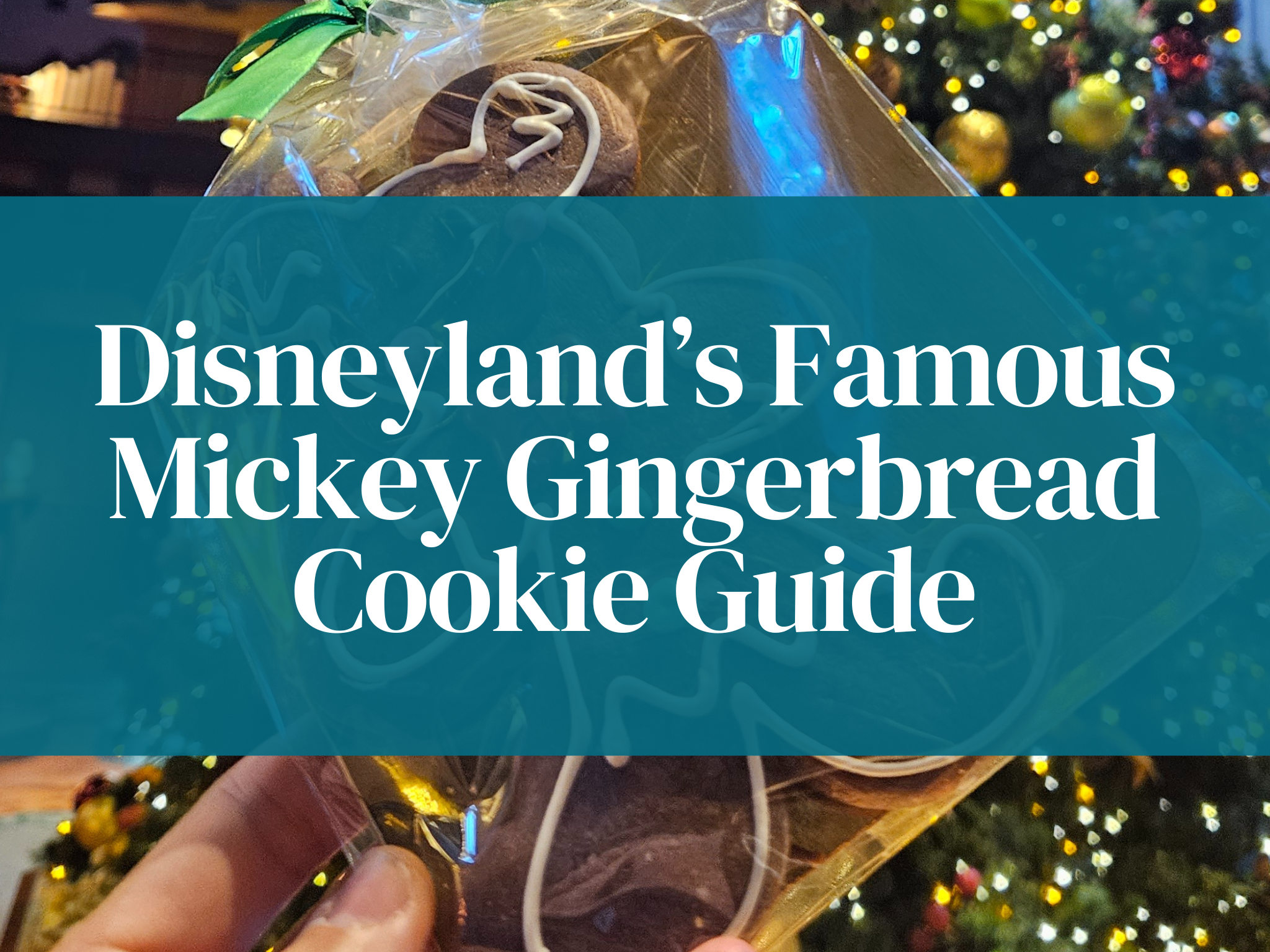 The Ultimate Mickey Gingerbread Cookie Disneyland 2025 Guide: Where to Find This Beloved Treat