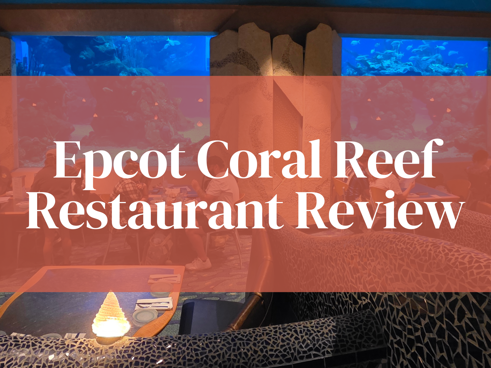 The Surprising Coral Reef Restaurant Review at EPCOT