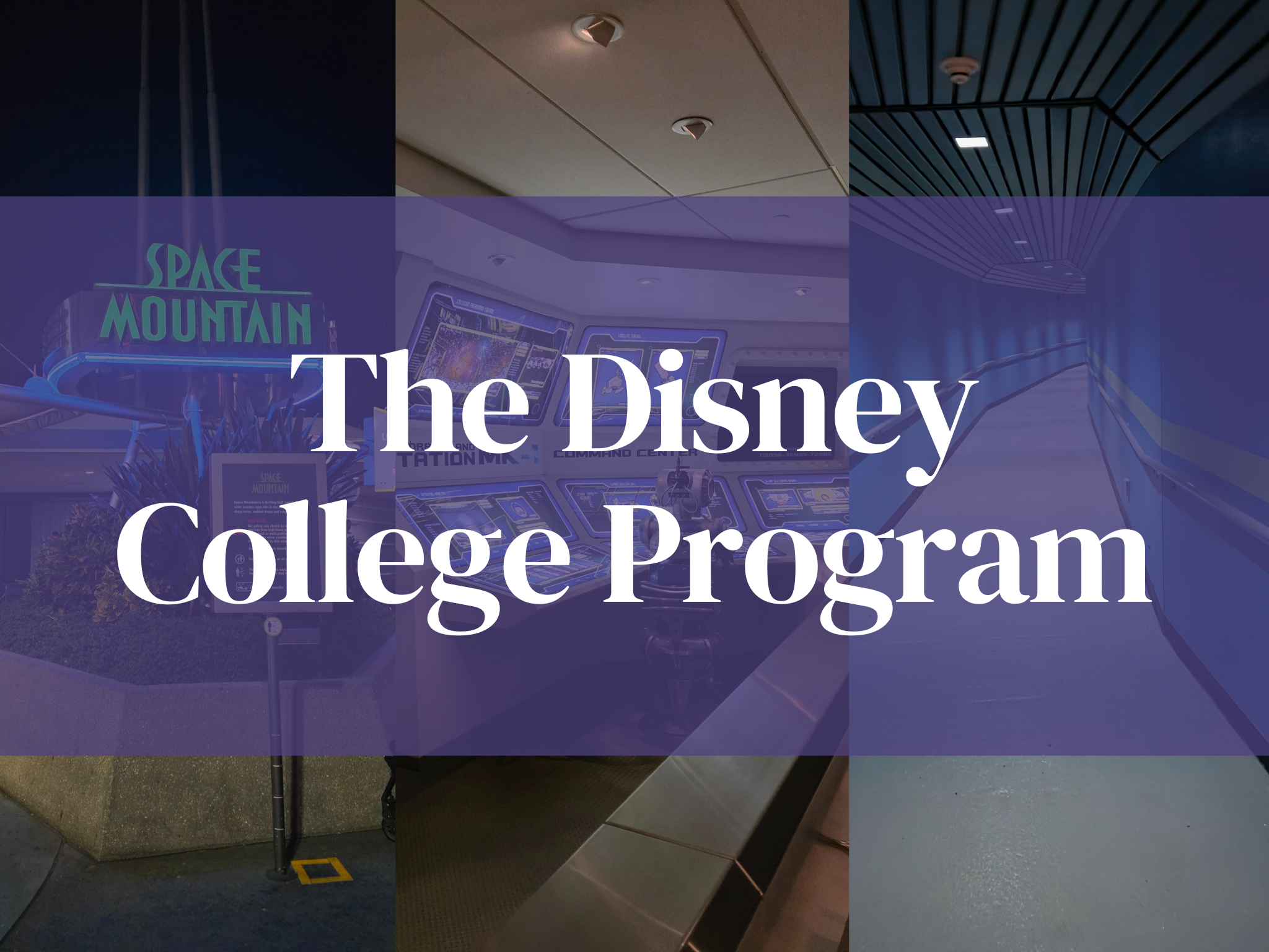 Our Disney College Program Story