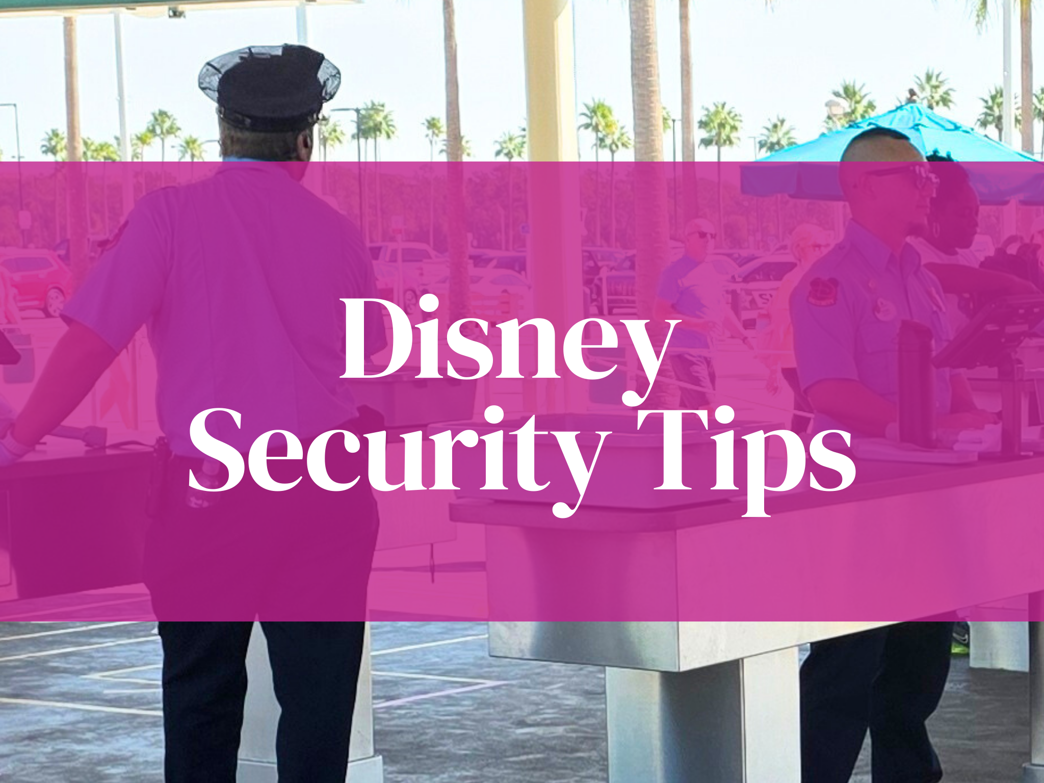 The Ultimate Disney Security Survival Guide Every Family Needs to Know