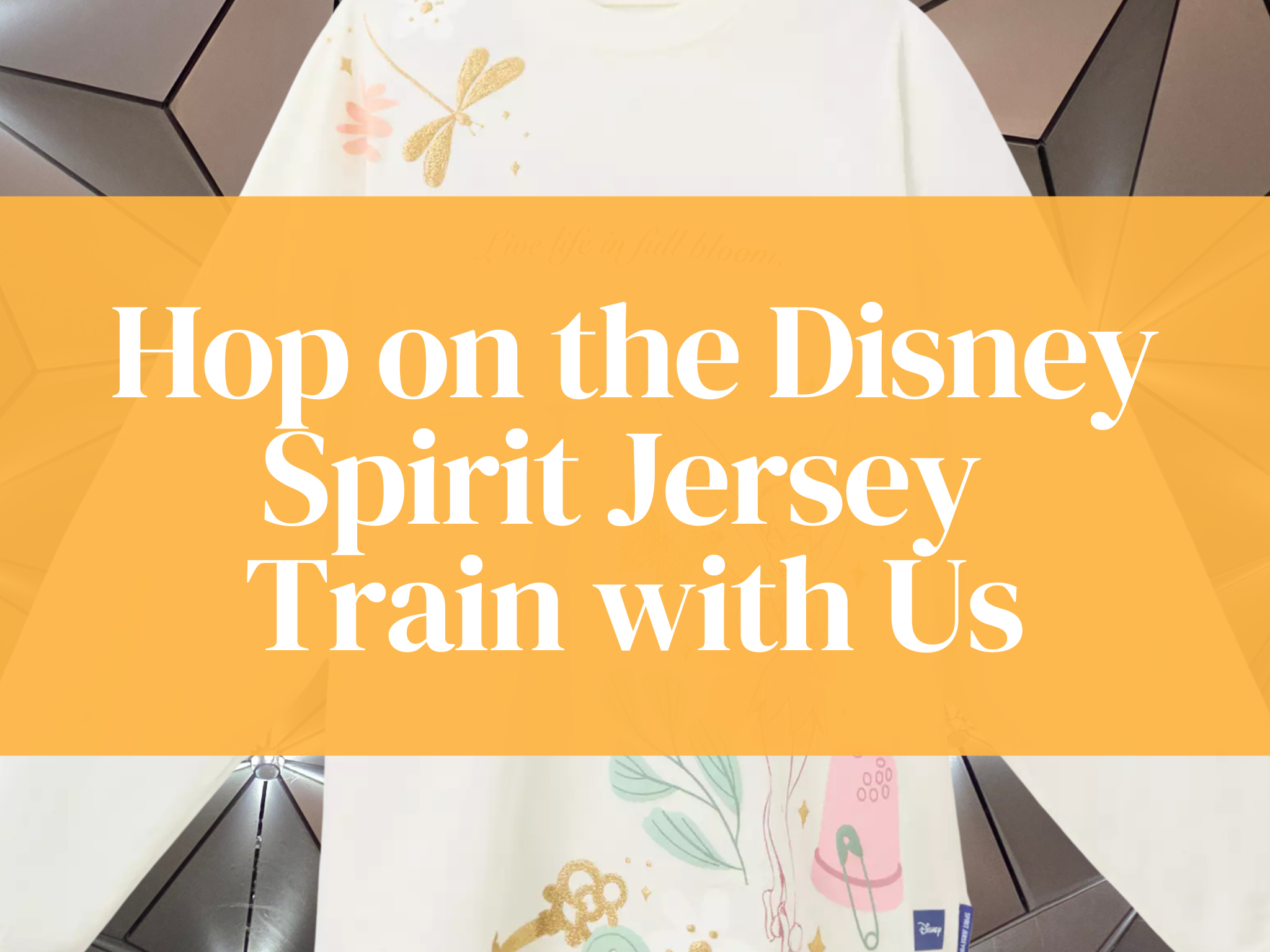Why Our Opinion Has Changed on Disney Spirit Jerseys