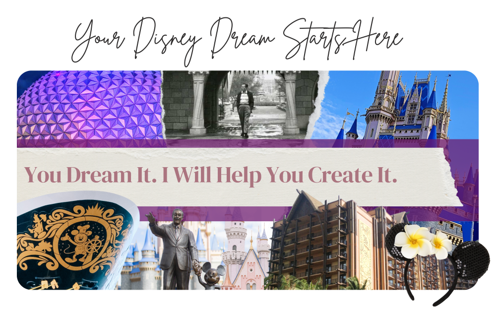 One Mans Dreamers Disney Vacation Planning
